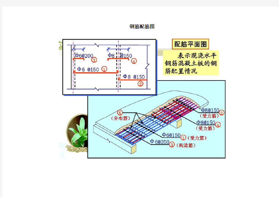 如何看懂钢筋配筋图