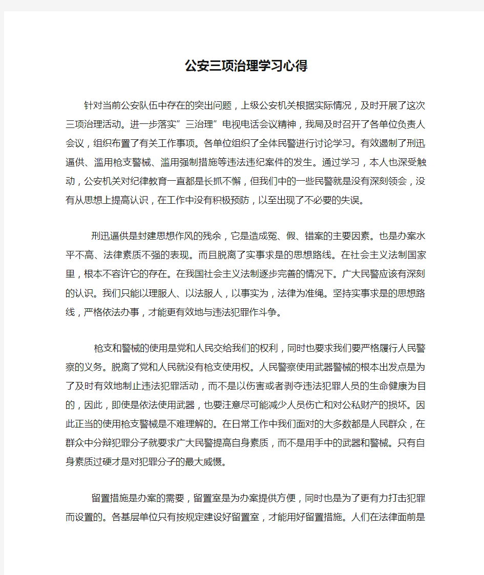 公安三项治理学习心得