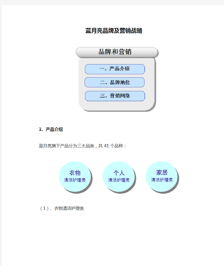 蓝月亮品牌及营销战略