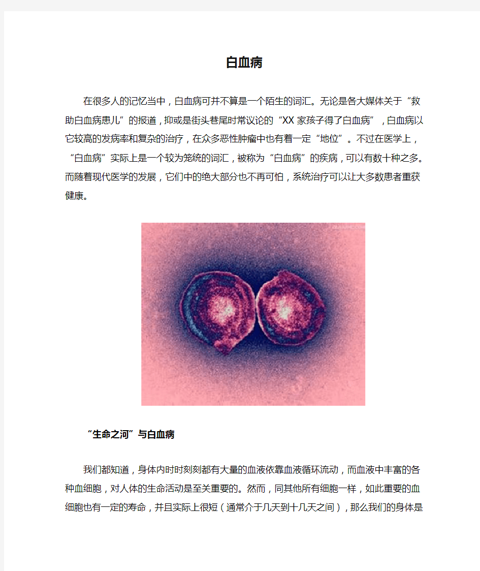 白血病的形成和发展