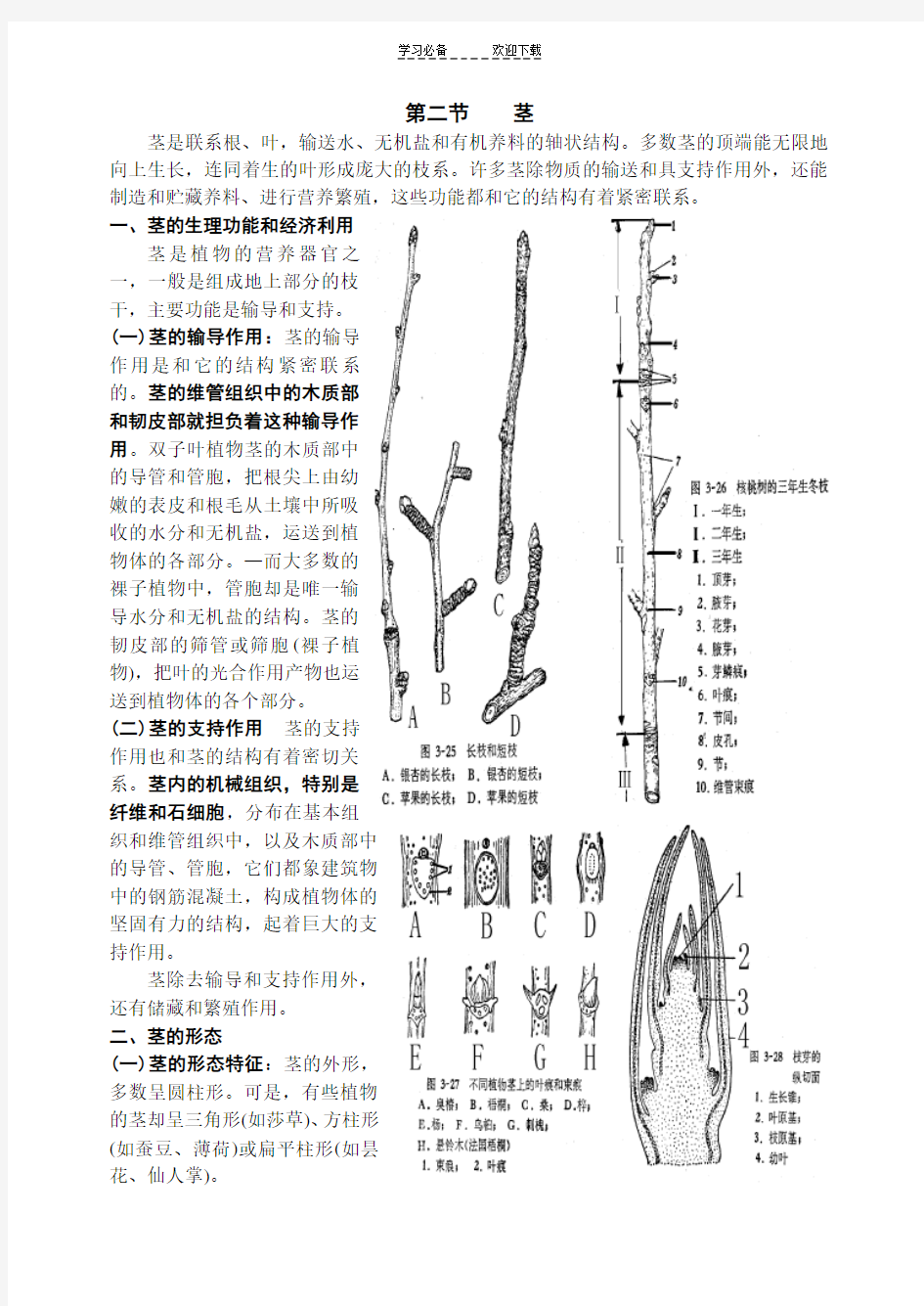 高中生物竞赛培优教案植物(二)