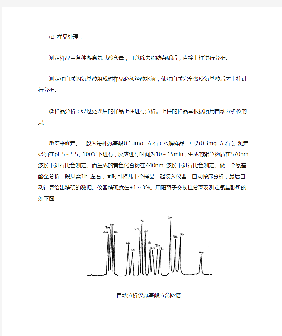 氨基酸自动分析仪