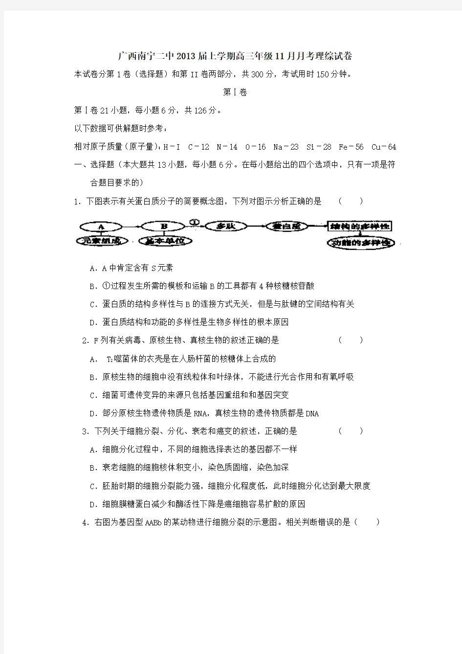 广西南宁二中2013届上学期高三年级11月月考理综试卷