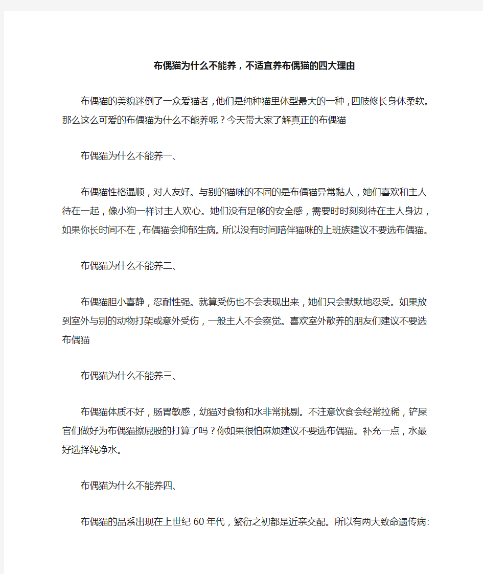 布偶猫为什么不能养,不适宜养布偶猫的四大理由