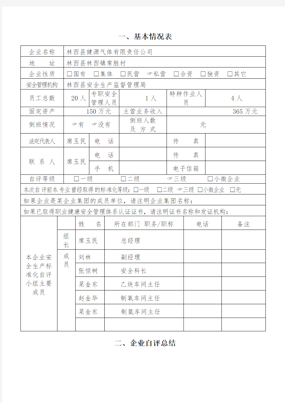 企业安全生产标准化自评报告表格