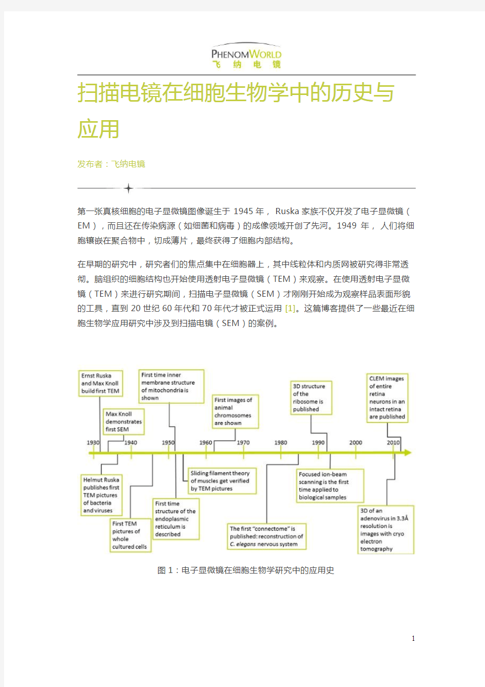 扫描电镜在细胞生物学中的历史与应用