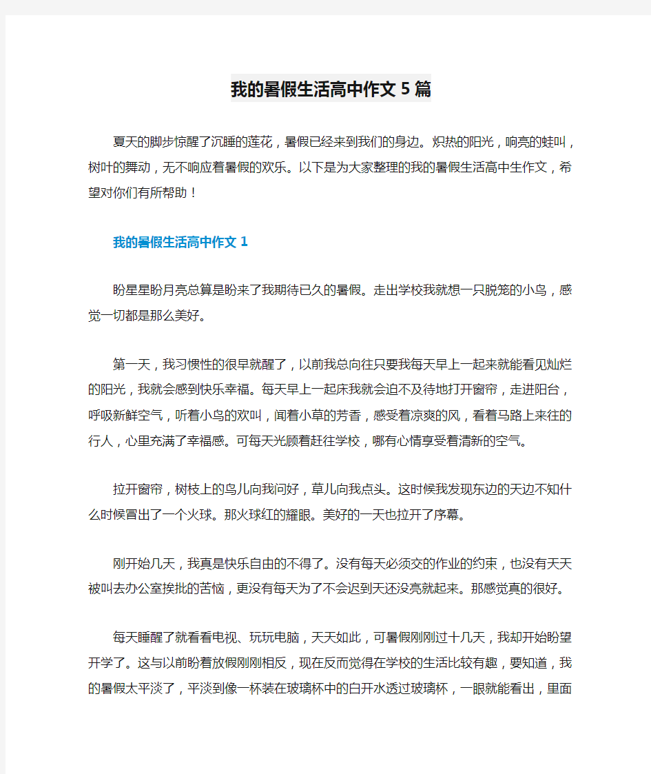 我的暑假生活高中作文5篇