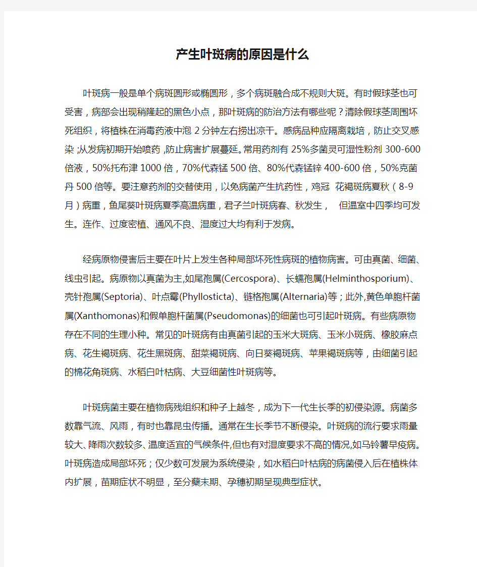 产生叶斑病的原因是什么