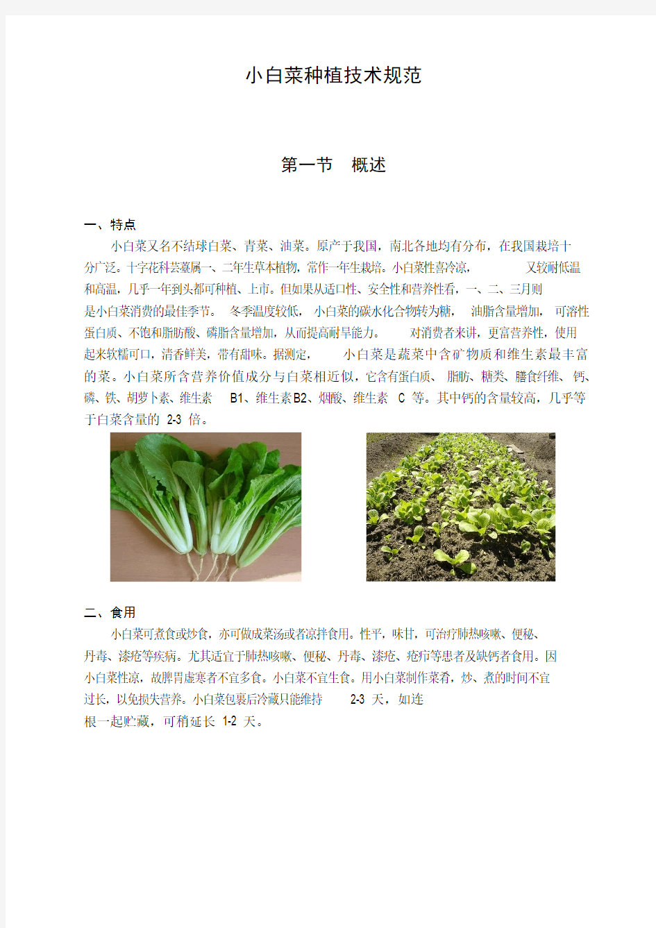 小白菜种植技术手册