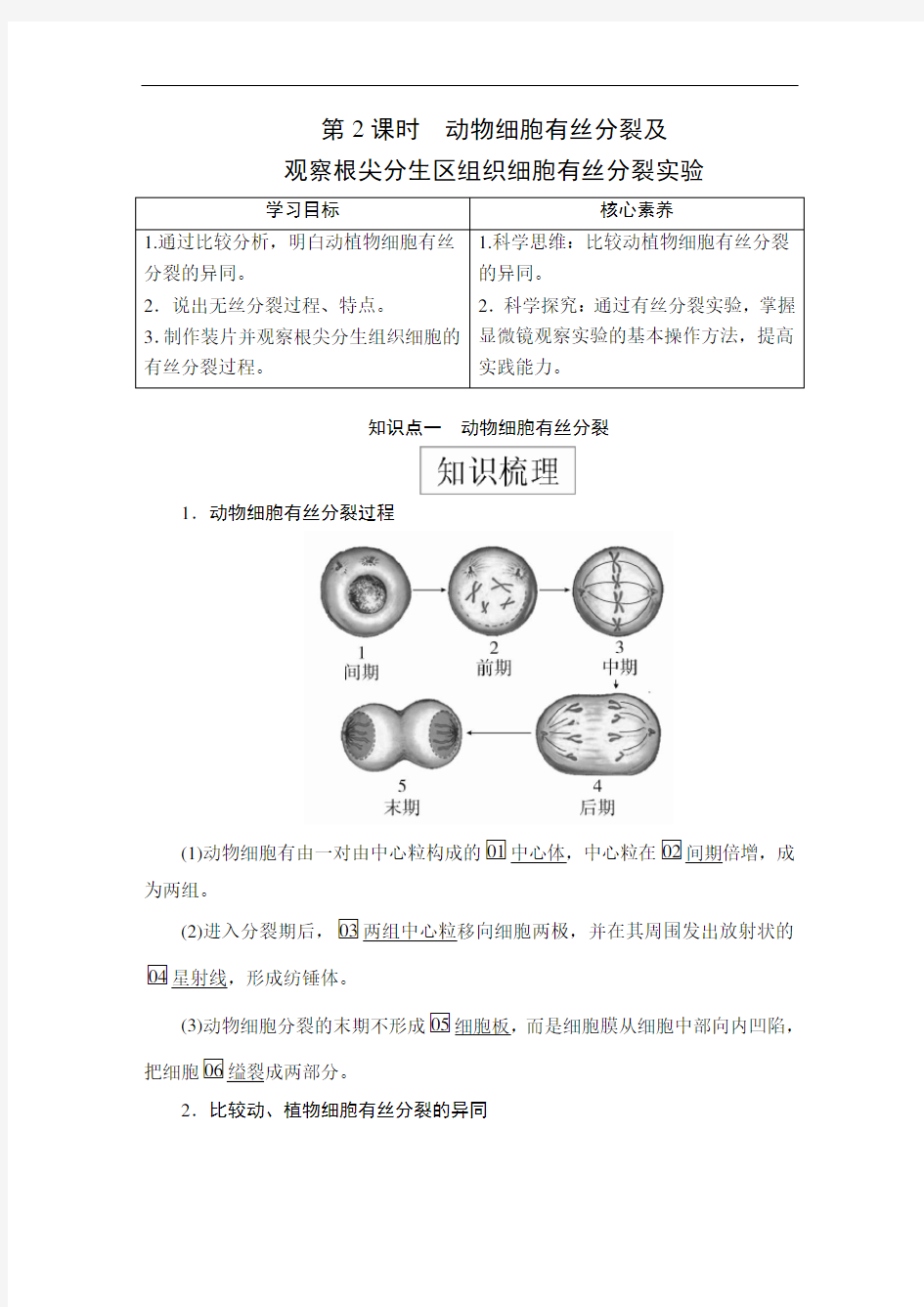 高中生物(新教材)《动物细胞有丝分裂及 观察根尖分生区组织细胞有丝分裂实验》导学案+课后练习题