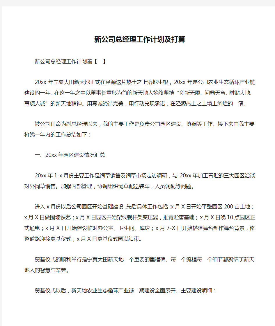 新公司总经理工作计划及打算