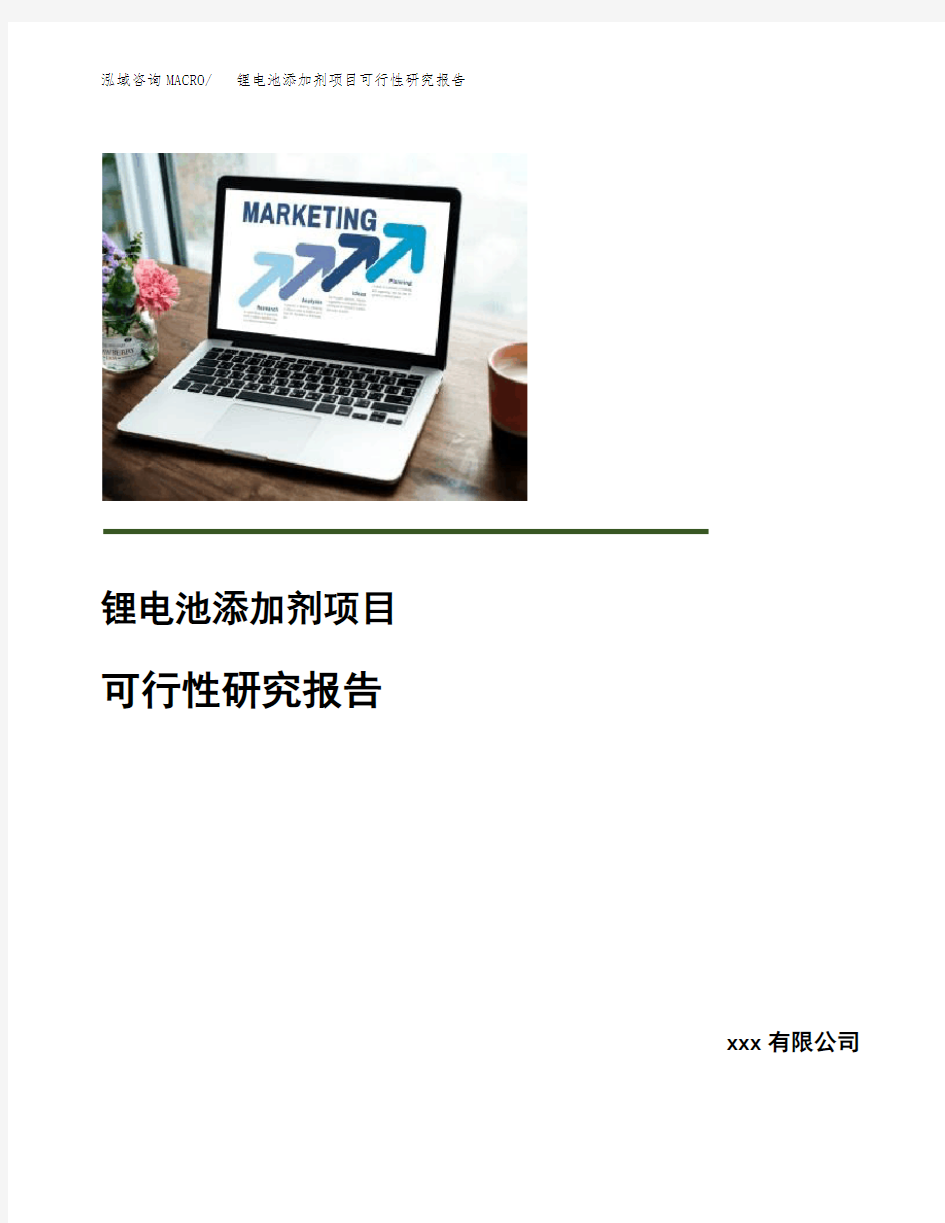 锂电池添加剂项目可行性研究报告