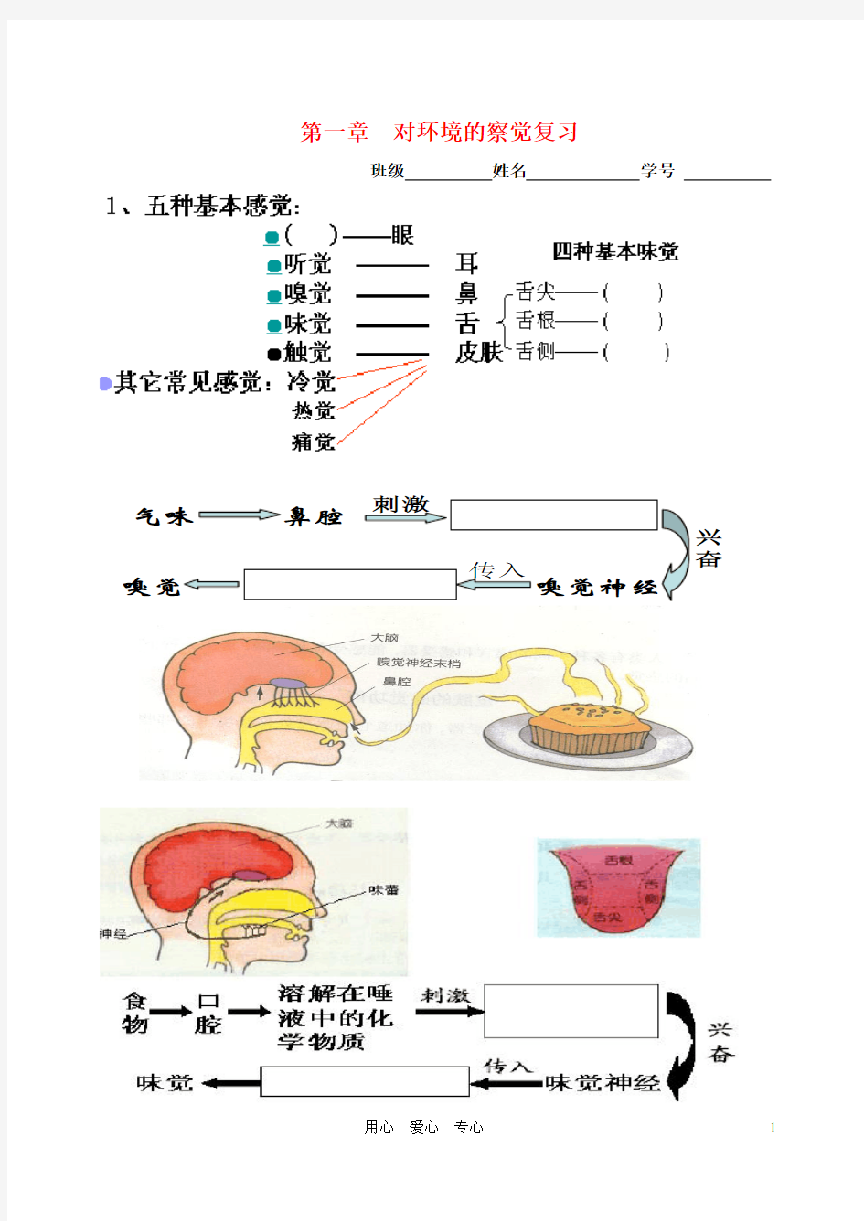 七年级科学下册 对环境的察觉复习练习 浙教版