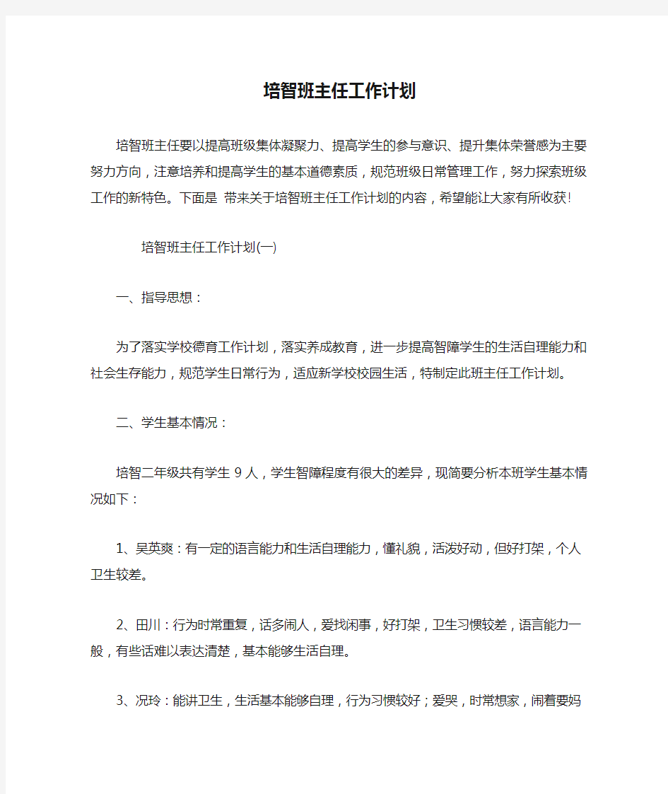 培智班主任工作计划