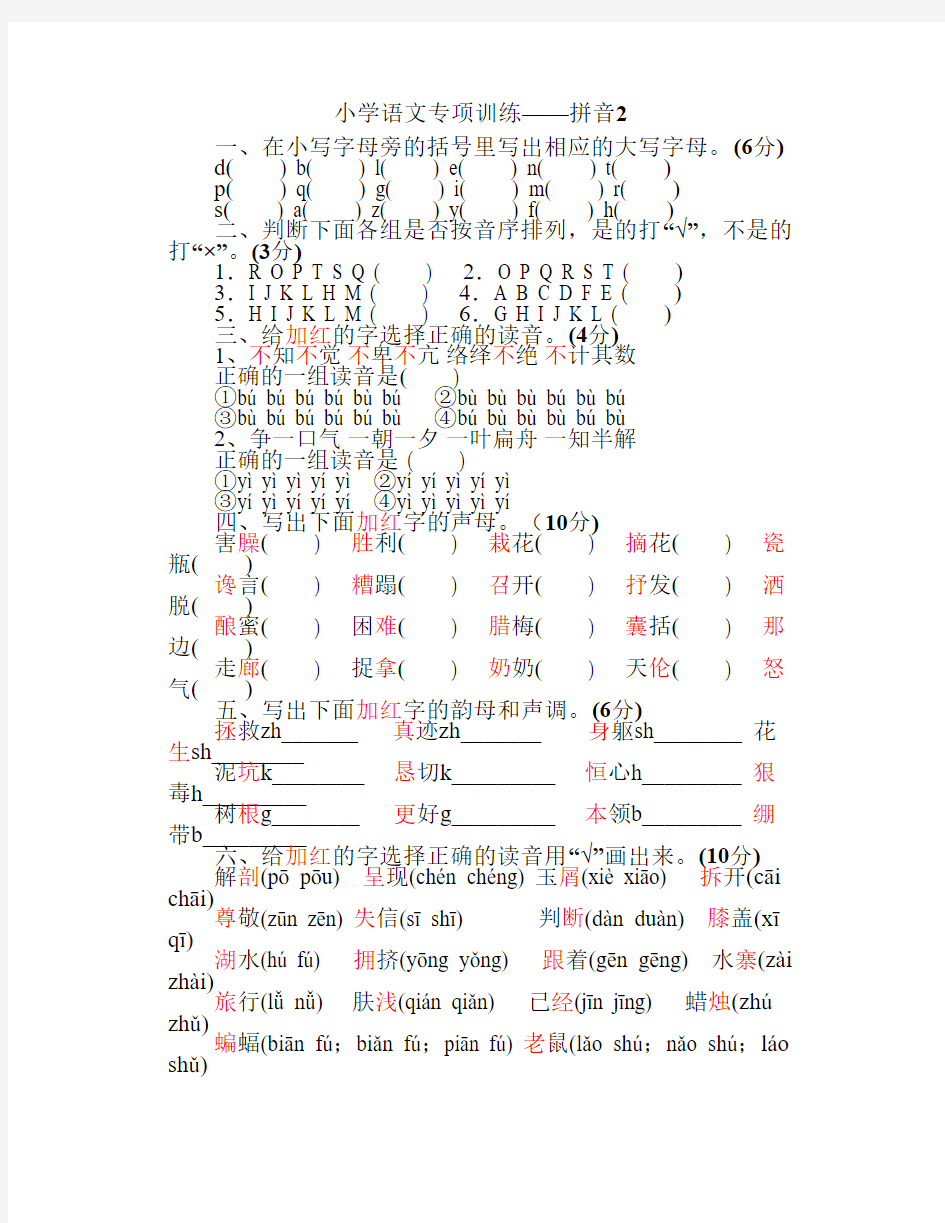 小学语文专项训练——拼音2