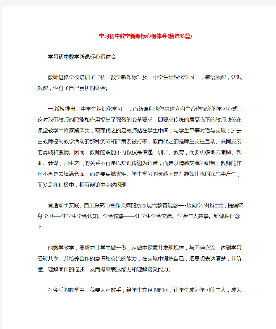 学习初中数学新课标心得体会(多篇)