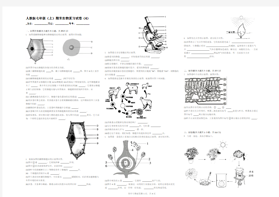 2015-2016学年新人教版七年级(上)期末生物复习试卷(4)