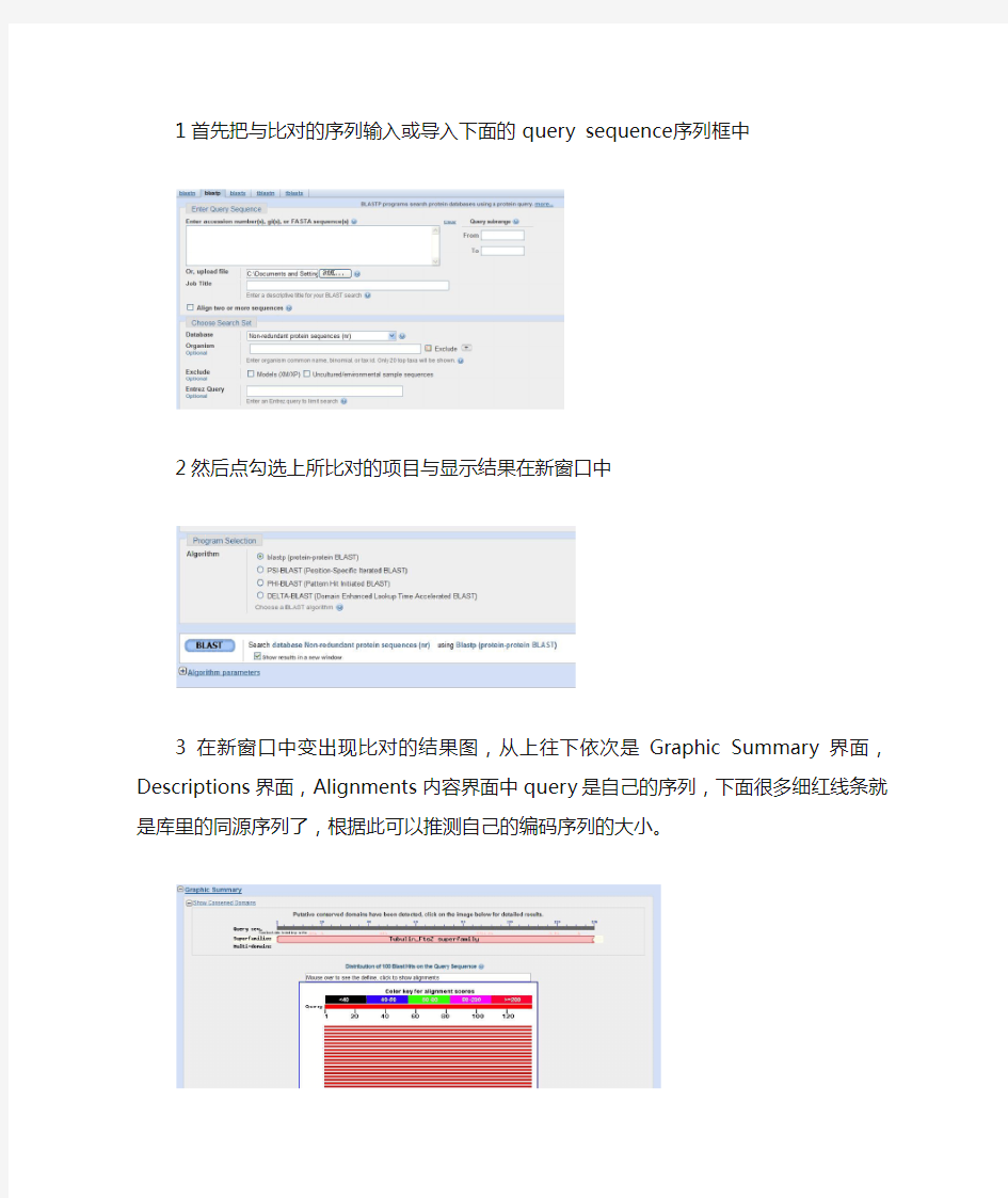 利用NCBI进行同源性一级结构分析