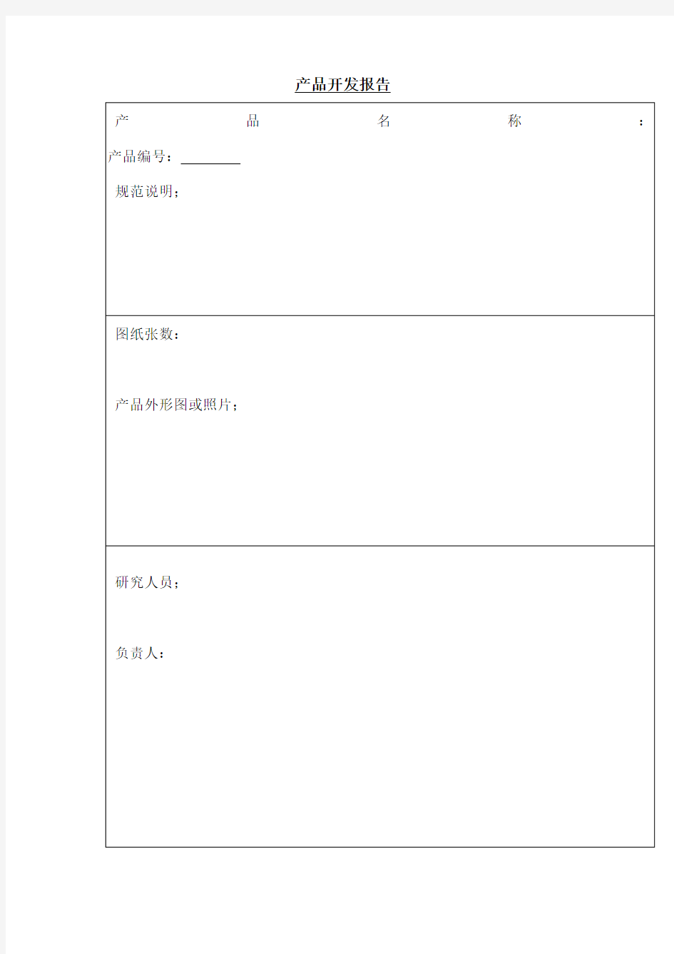 产品开发报告模板
