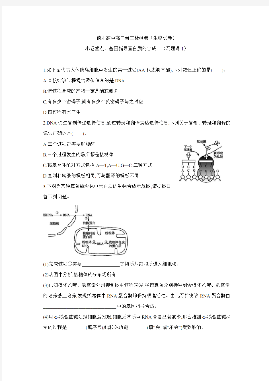 人教版高中生物必修二基因指导蛋白质的合成习题课