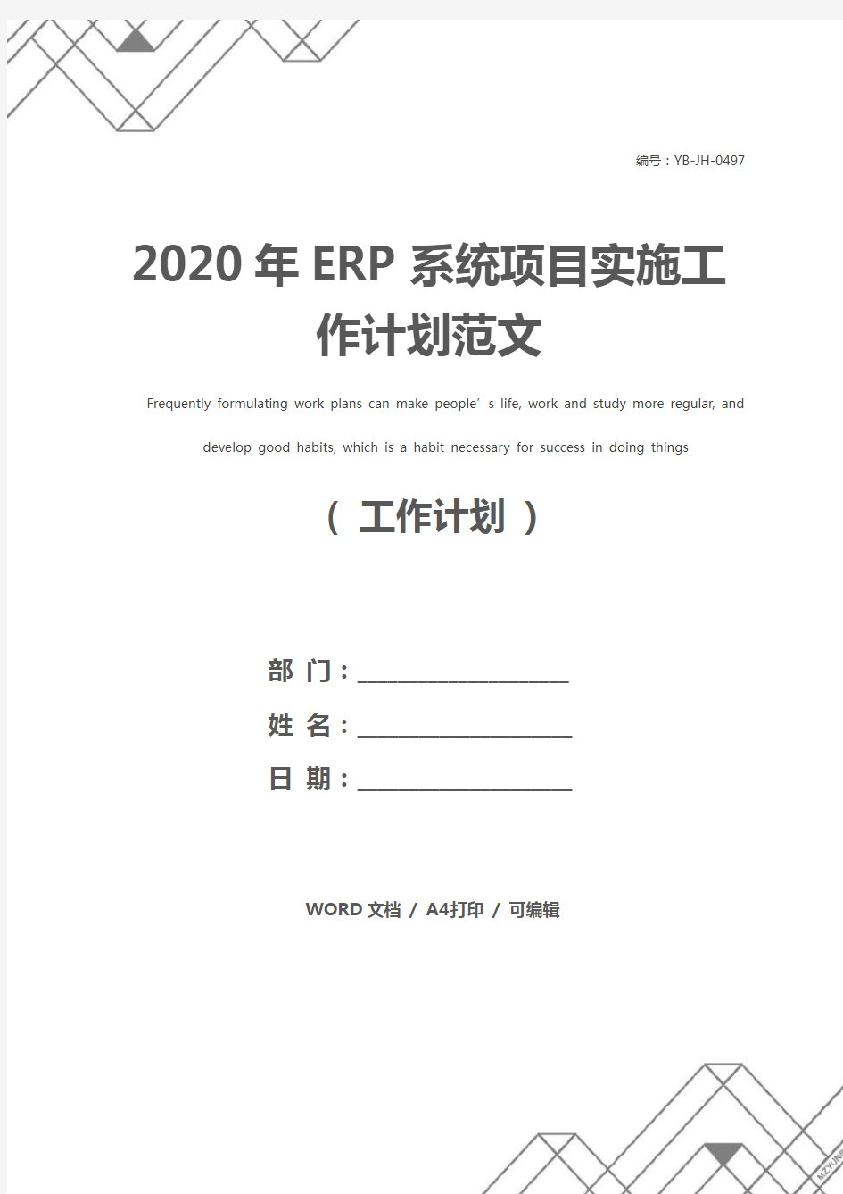 2020年ERP系统项目实施工作计划范文