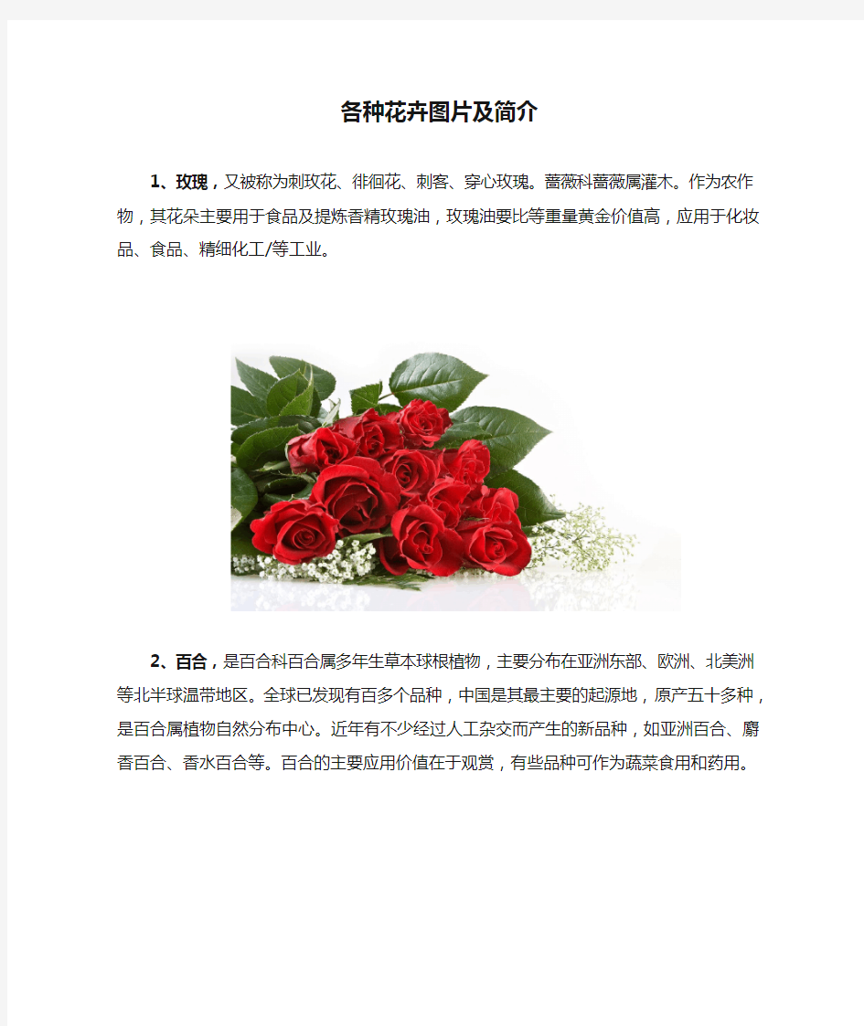 各种花卉图片及简介