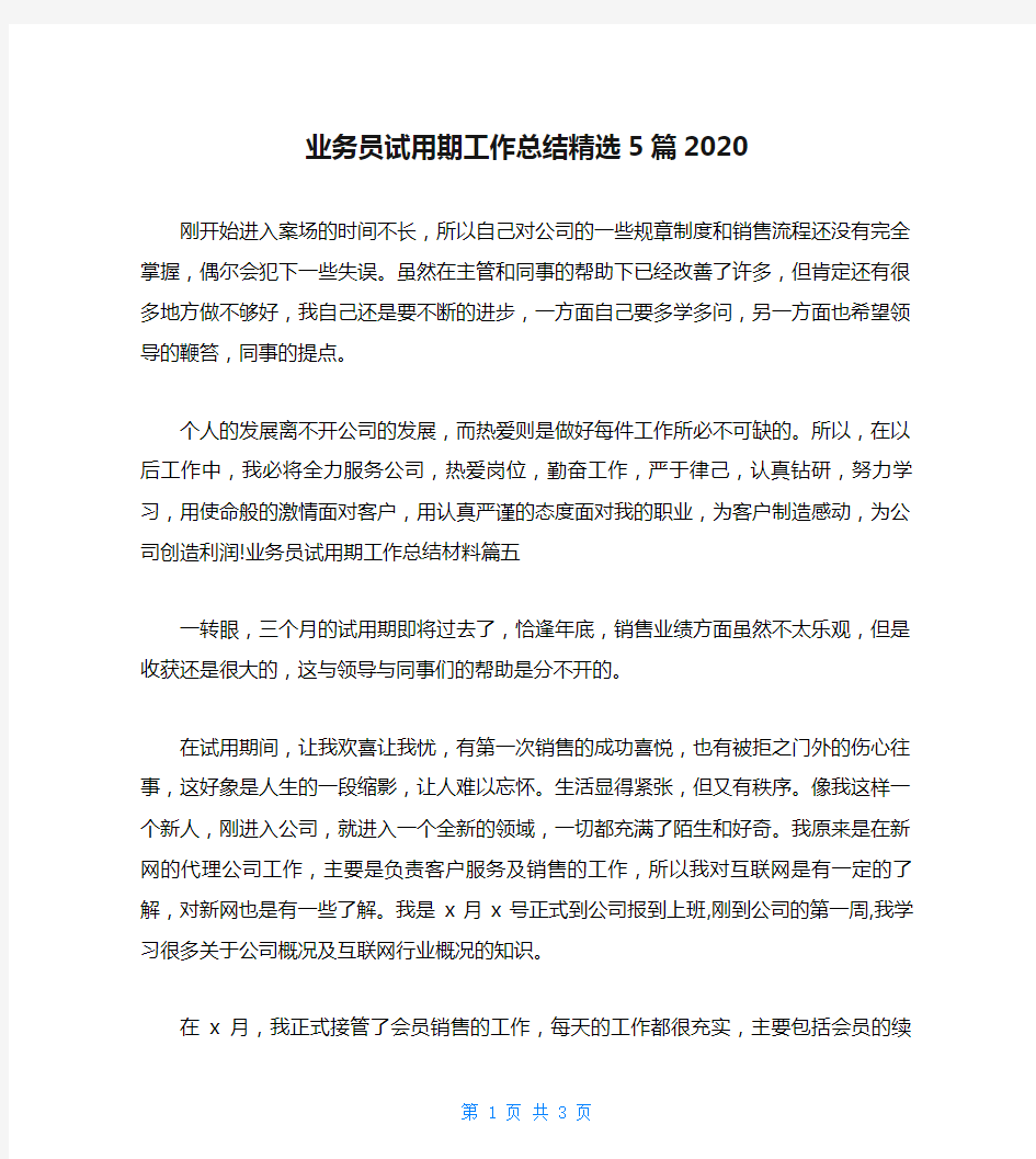 业务员试用期工作总结精选5篇2020