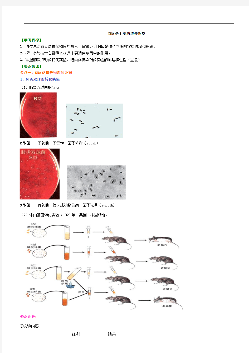 DNA是主要的遗传物质知识讲解