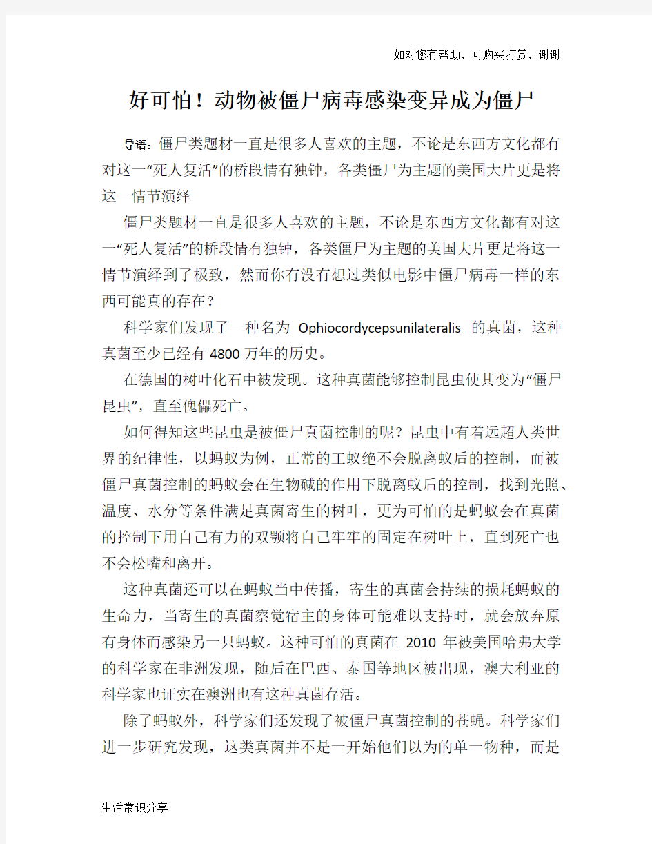 好可怕!动物被僵尸病毒感染变异成为僵尸