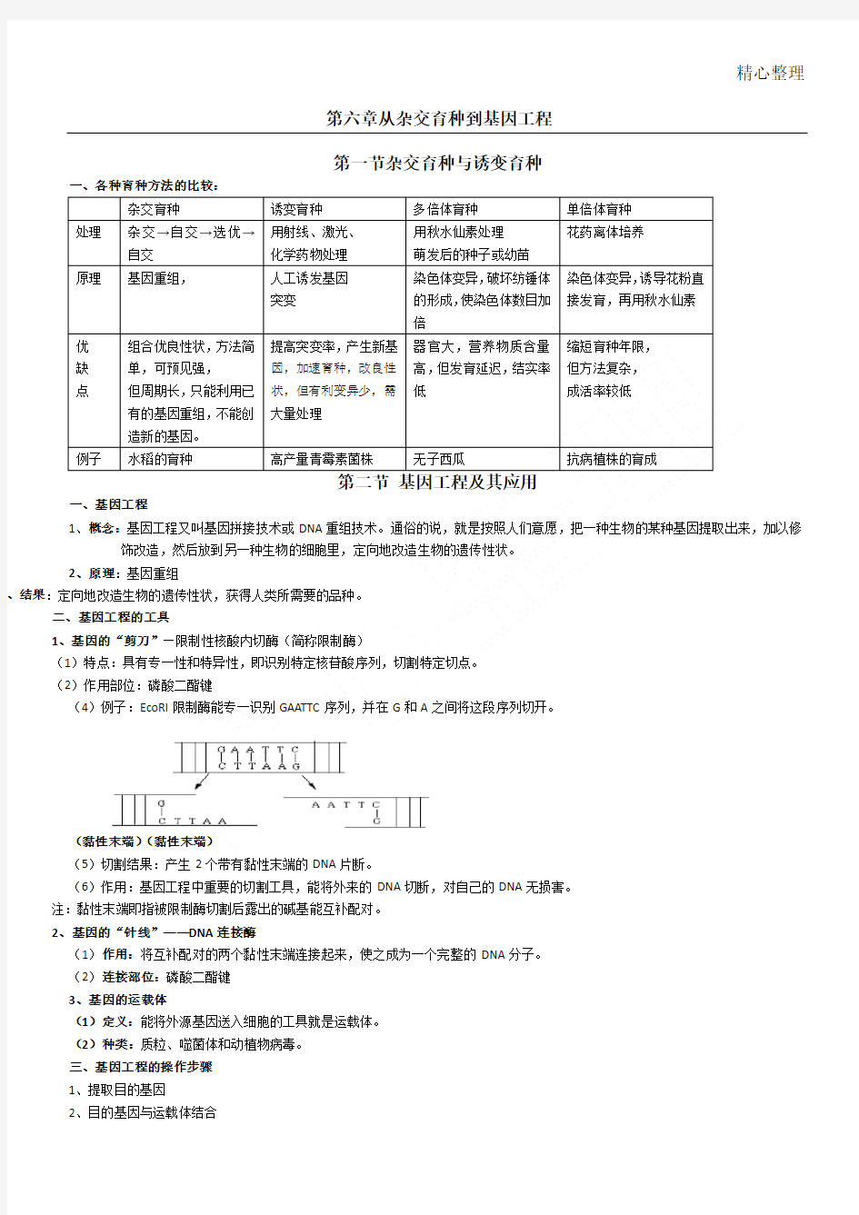 重点高中生物必修二从杂交育种到基因工程知识点