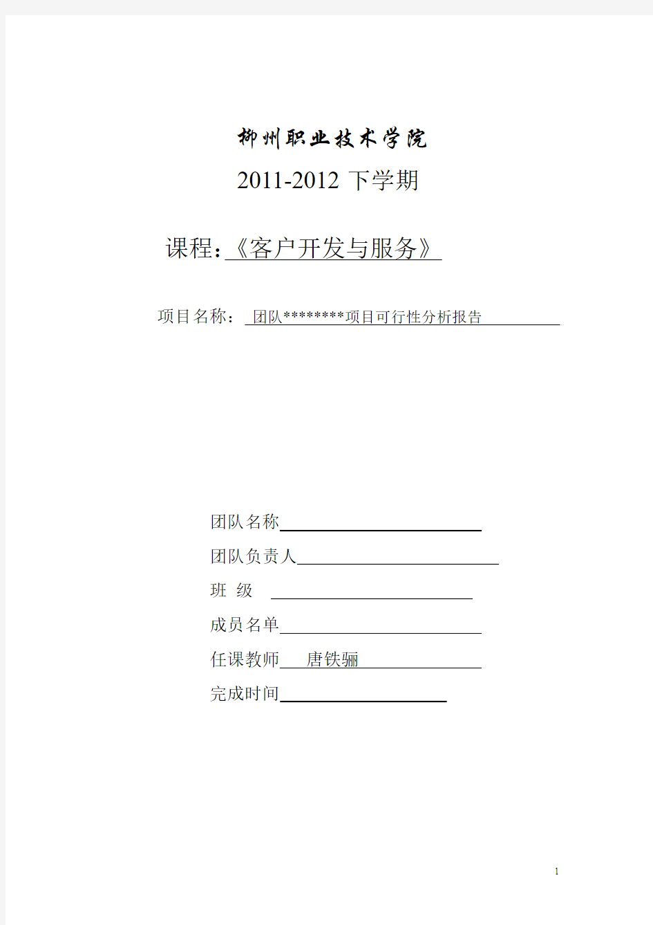 2010客户开发项目可行性分析报告项目撰写格式要求