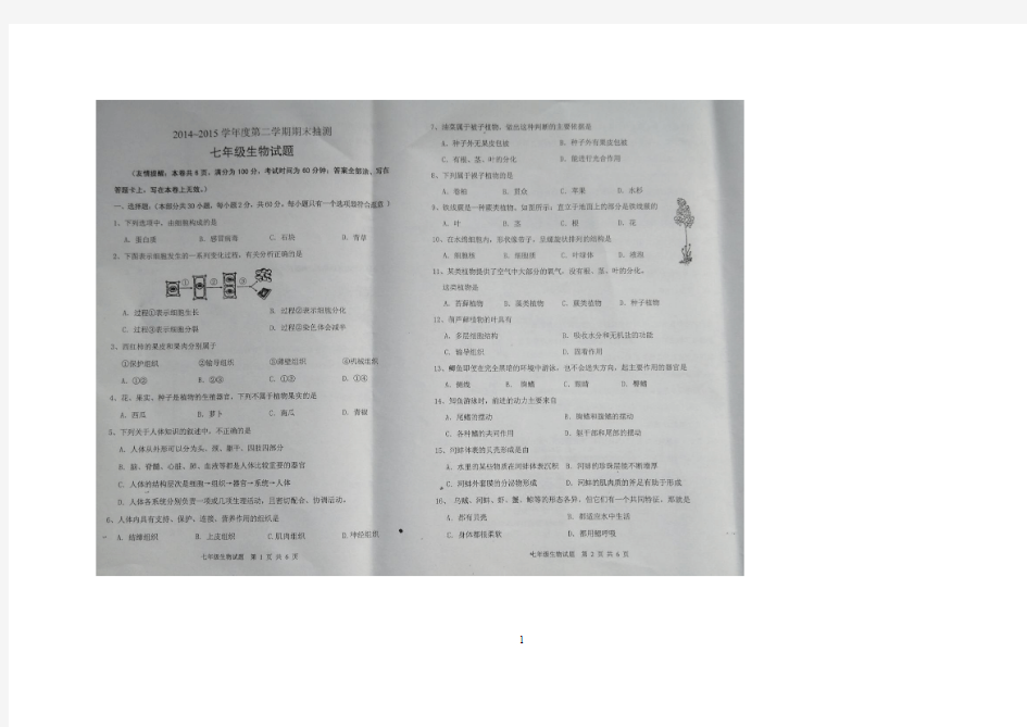 江苏省邳州市2014-2015学年七年级下学期期末考试 生物试题(图片版)及答案