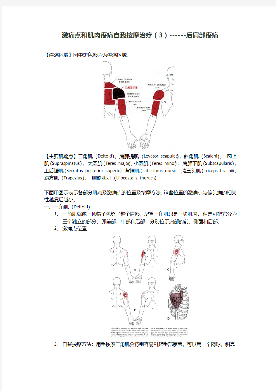 激痛点和肌肉疼痛自我按摩治疗(3)后肩部疼痛