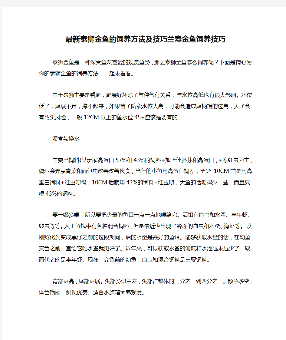 最新泰狮金鱼的饲养方法及技巧兰寿金鱼饲养技巧