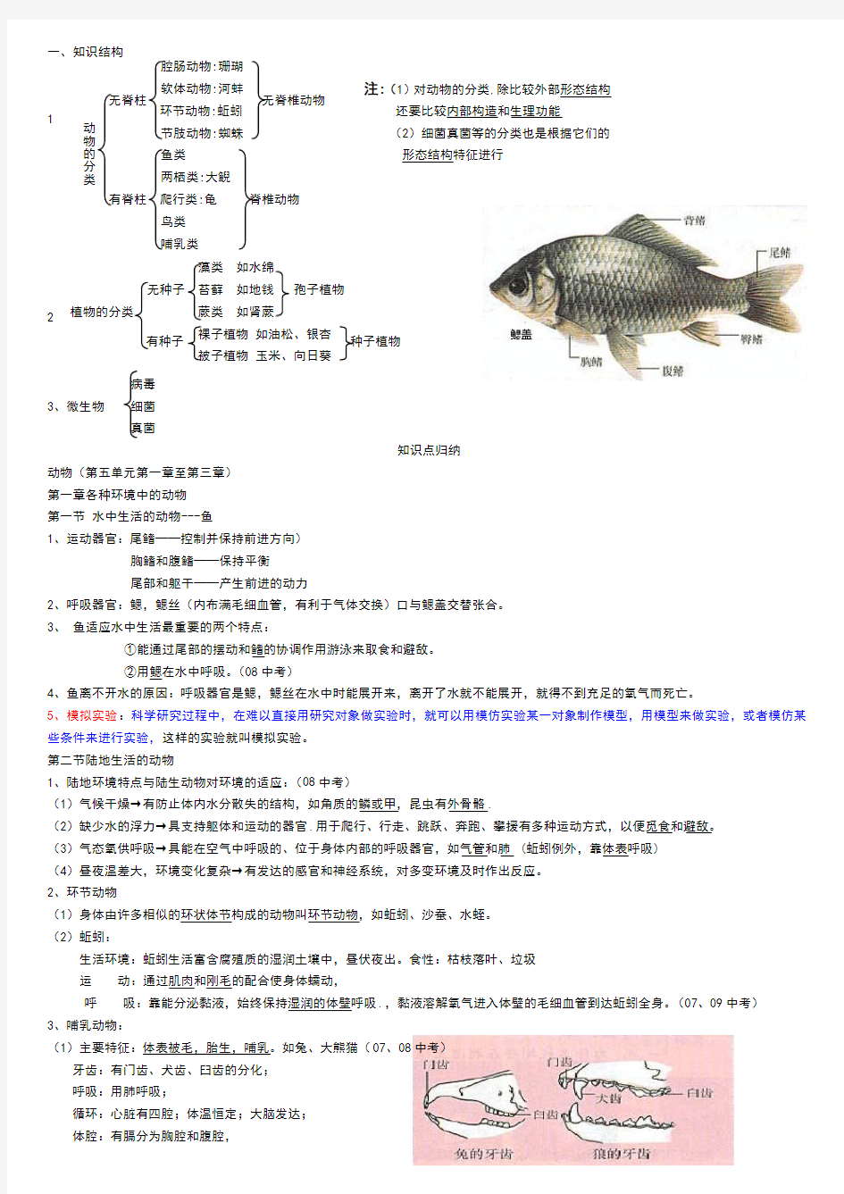 人教版八年级生物上册知识点总结全面