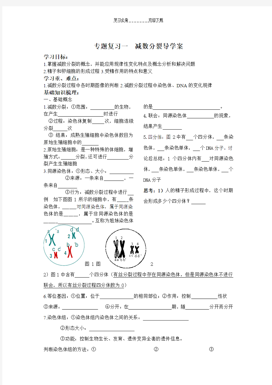 减数分裂专题复习