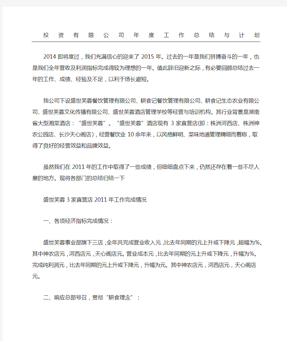 投资有限公司工作总结与计划