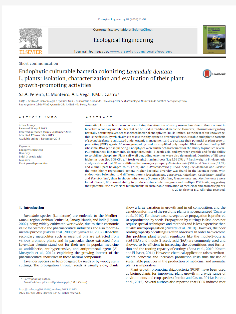 Endophytic culturable bacteria colonizing Lavandula dentata