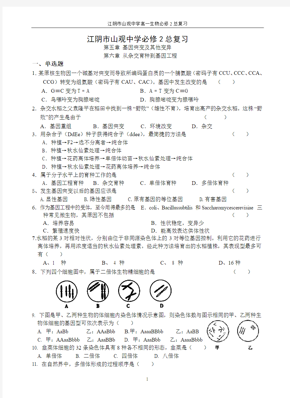 第五章、基因突变及其他变异