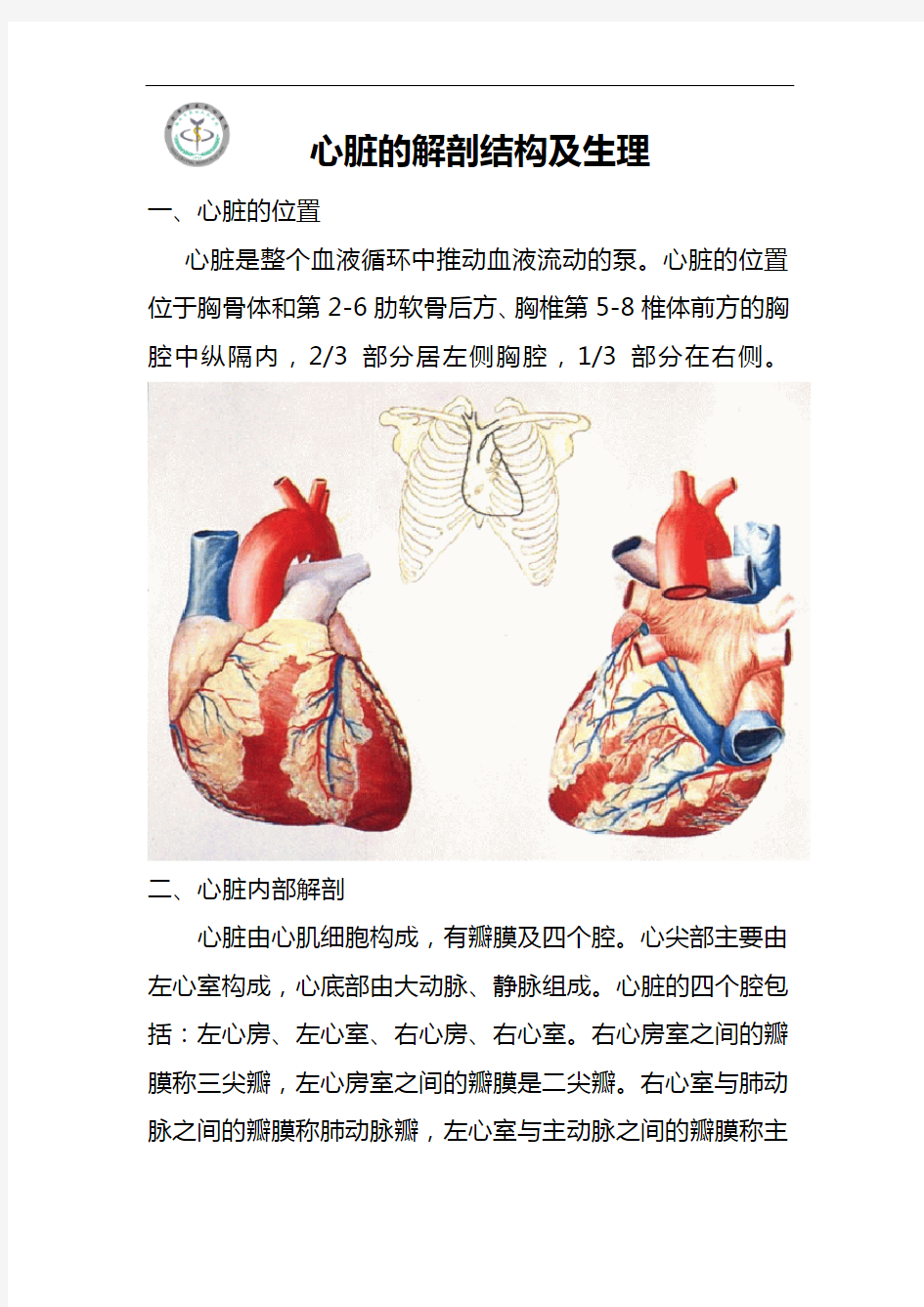 心脏的解剖结构与生理[含彩图]