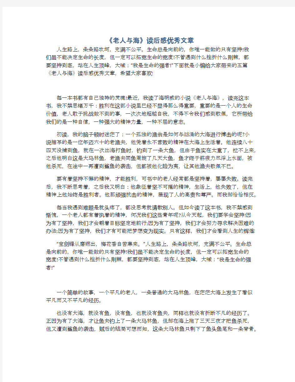 《老人与海》读后感优秀文章