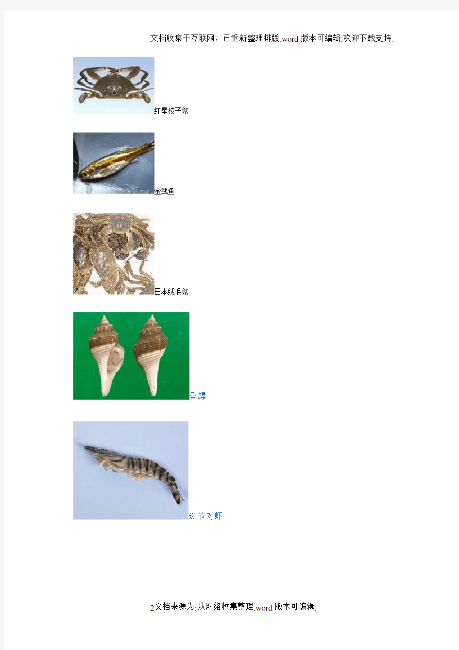 海洋生物学海洋生物图片名称