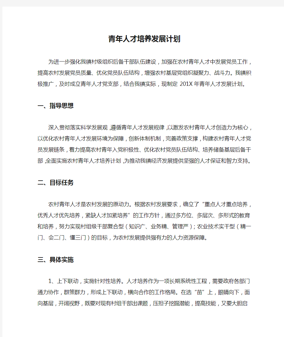 青年人才培养发展计划.docx