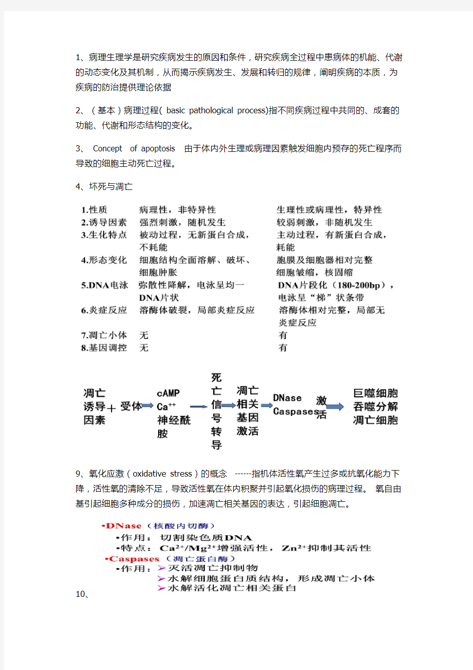 病理生理学-考博用