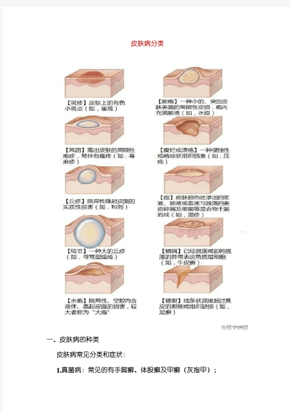 皮肤病分类