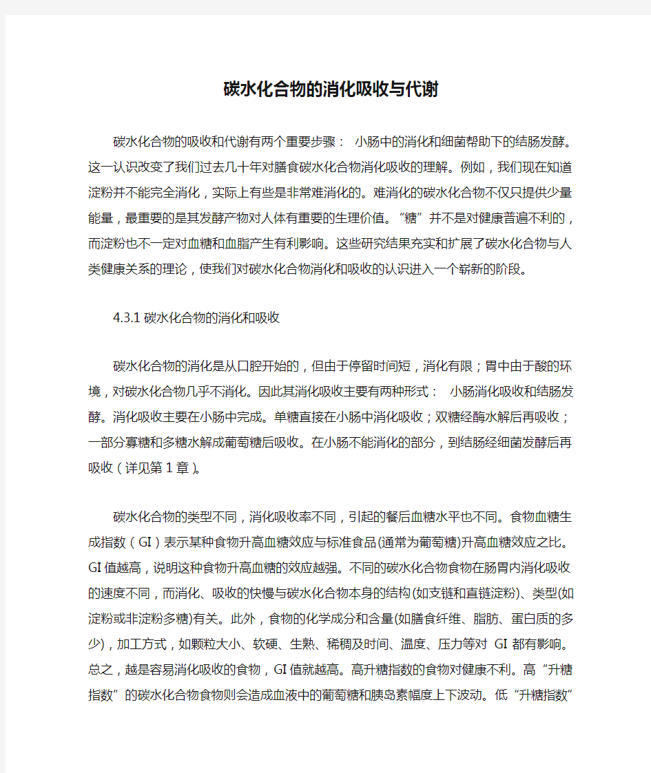 碳水化合物的消化吸收与代谢