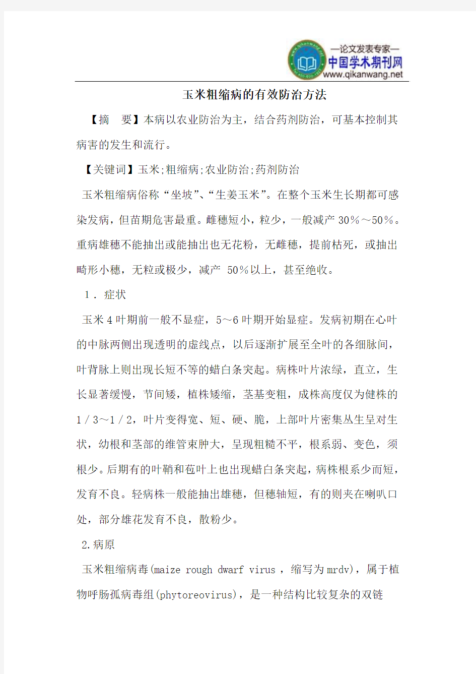 玉米粗缩病的有效防治方法