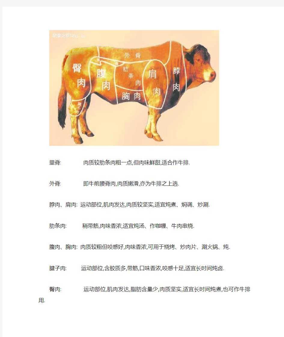 牛肉部位分割图