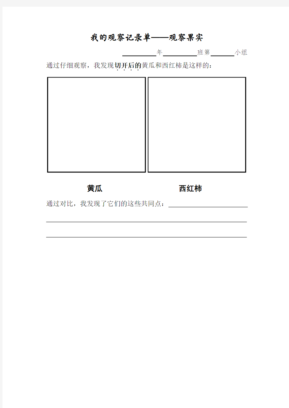 我的观察记录单(观察果实)