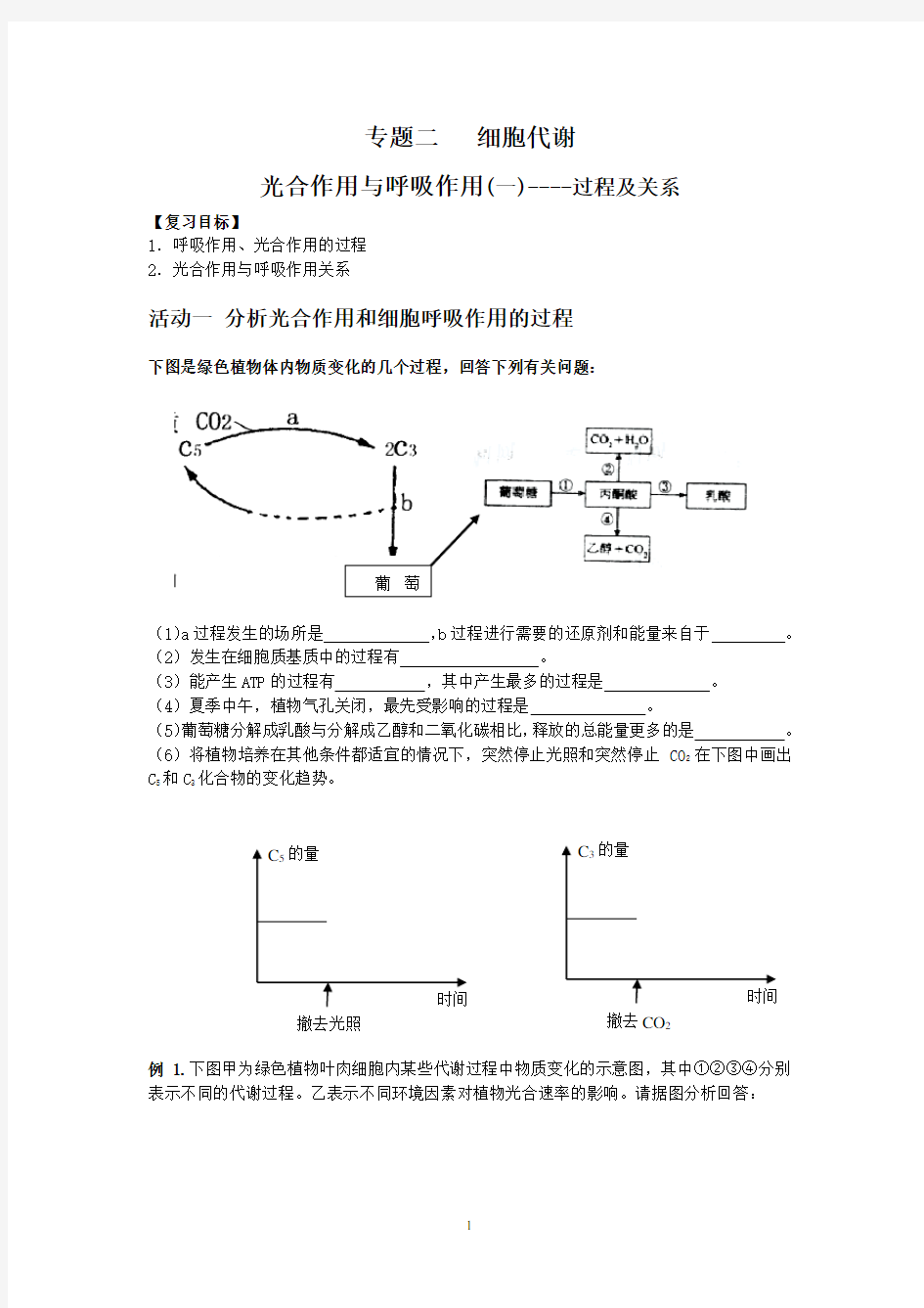 光合作用和呼吸作用的过程及关系